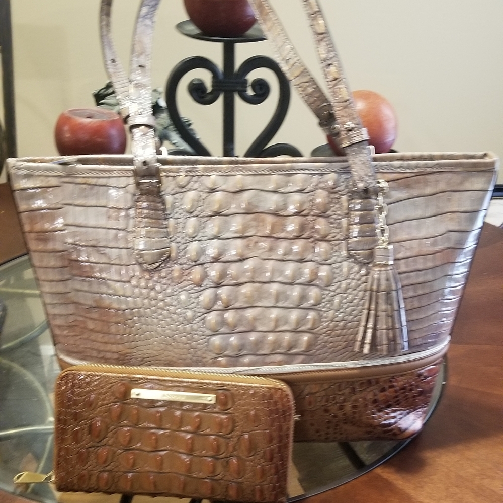 Brahmin medium Asher and matching wallet.